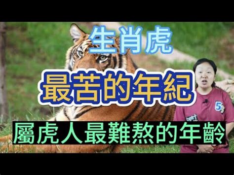 屬虎的幸運數字|属虎人的幸运数字